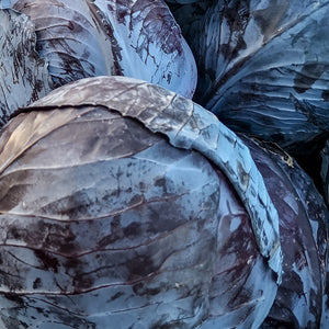 
                
                    Load image into Gallery viewer, Purely Organic Heirloom Cabbage Seeds - Red Acre (Approx 900 Seeds)
                
            