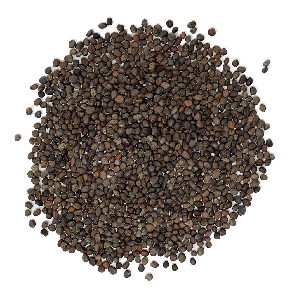 
                
                    Load image into Gallery viewer, Natural Hydroponics Organic Rambo Radish Microgreen Seeds - Approx 1500 Seeds
                
            