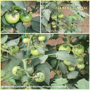 The Old Farmer's Almanac Organic Tomato & Vegetable Plant Food 8-4-8