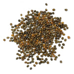 Purely Organic Heirloom Arugula Seeds - Slow Bolt (Approx 400 Seeds)