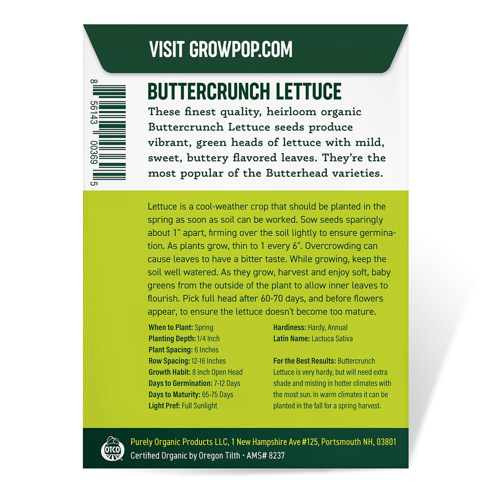 Purely Organic Heirloom Lettuce Seeds - Buttercrunch (Approx 1500 Seeds)