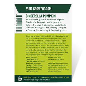 Purely Organic Heirloom Pumpkin Seeds - Cinderella (Approx 6 Seeds)