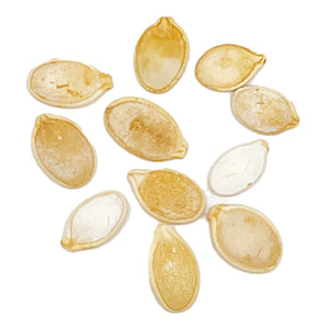Purely Organic Heirloom Pumpkin Seeds - Cinderella (Approx 6 Seeds)
