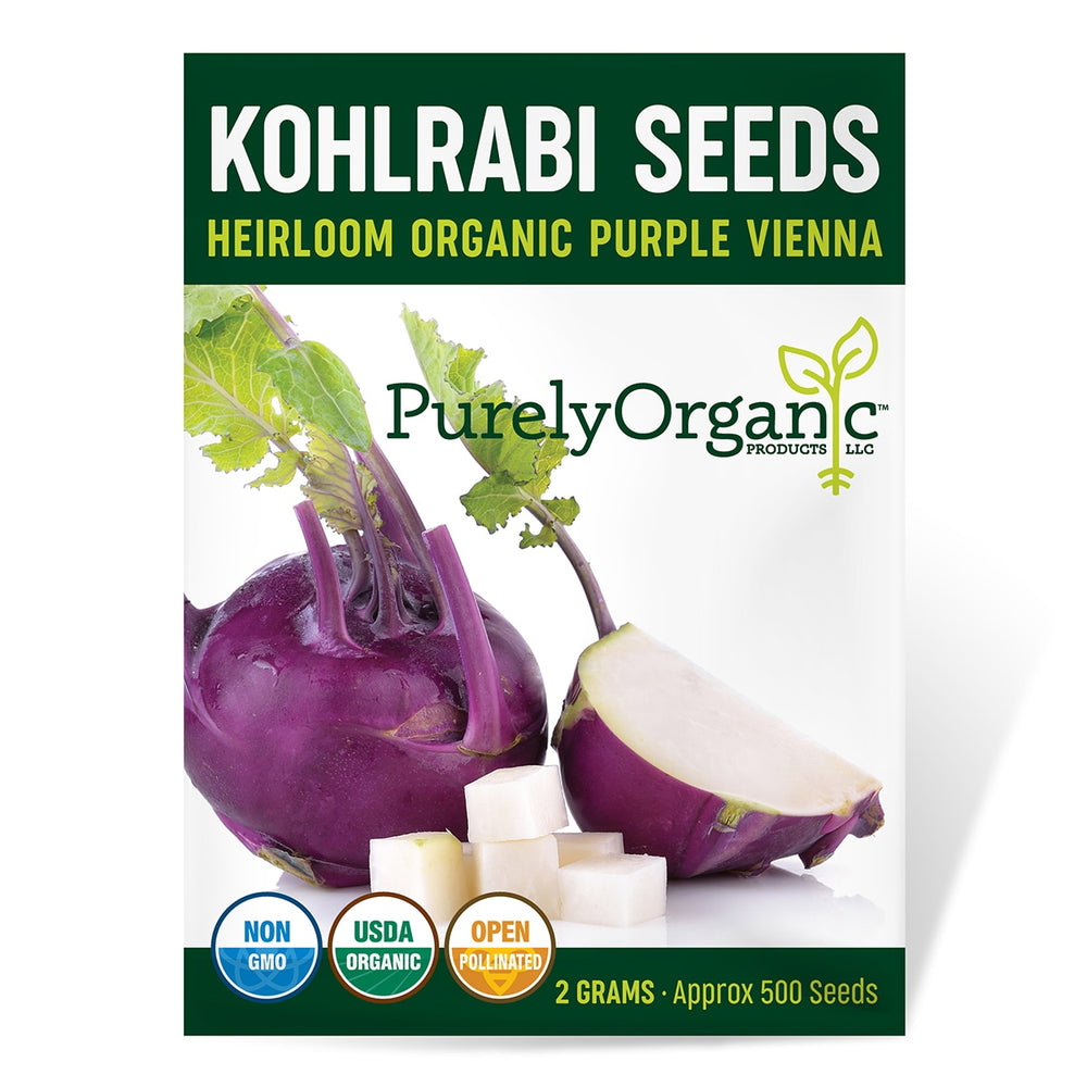 
                
                    Load image into Gallery viewer, Purely Organic Heirloom Kohlrabi Seeds - Purple Vienna (Approx 500 Seeds)
                
            
