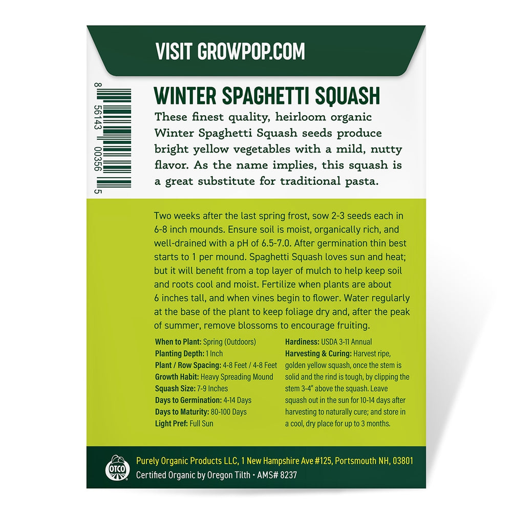 
                
                    Load image into Gallery viewer, Purely Organic Heirloom Squash Seeds - Winter Spaghetti (Approx 20 Seeds)
                
            