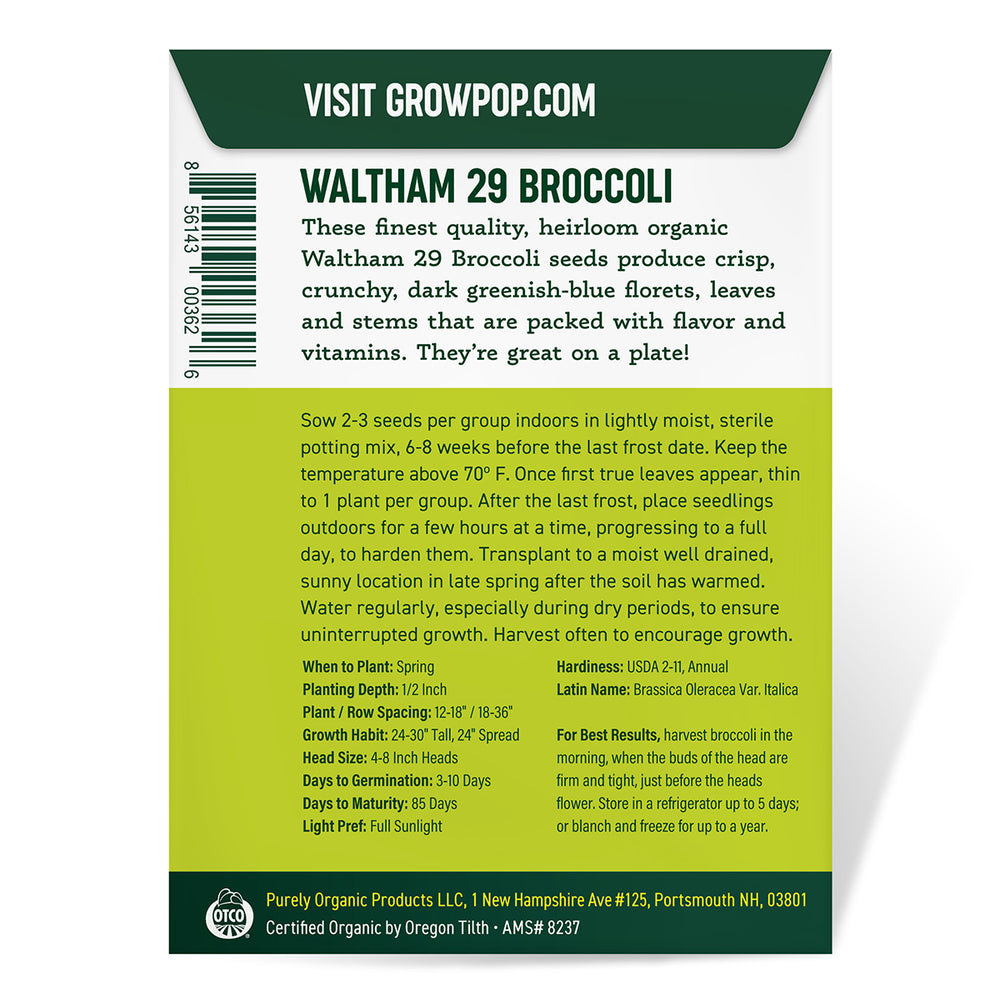 Purely Organic Heirloom Broccoli Seeds - Waltham 29 (Approx 750 Seeds)