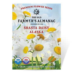 
                
                    Load image into Gallery viewer, The Old Farmer&amp;#39;s Almanac Shasta Alaska Daisy Seeds - Premium Non-GMO, Open Pollinated, Flower Seeds
                
            