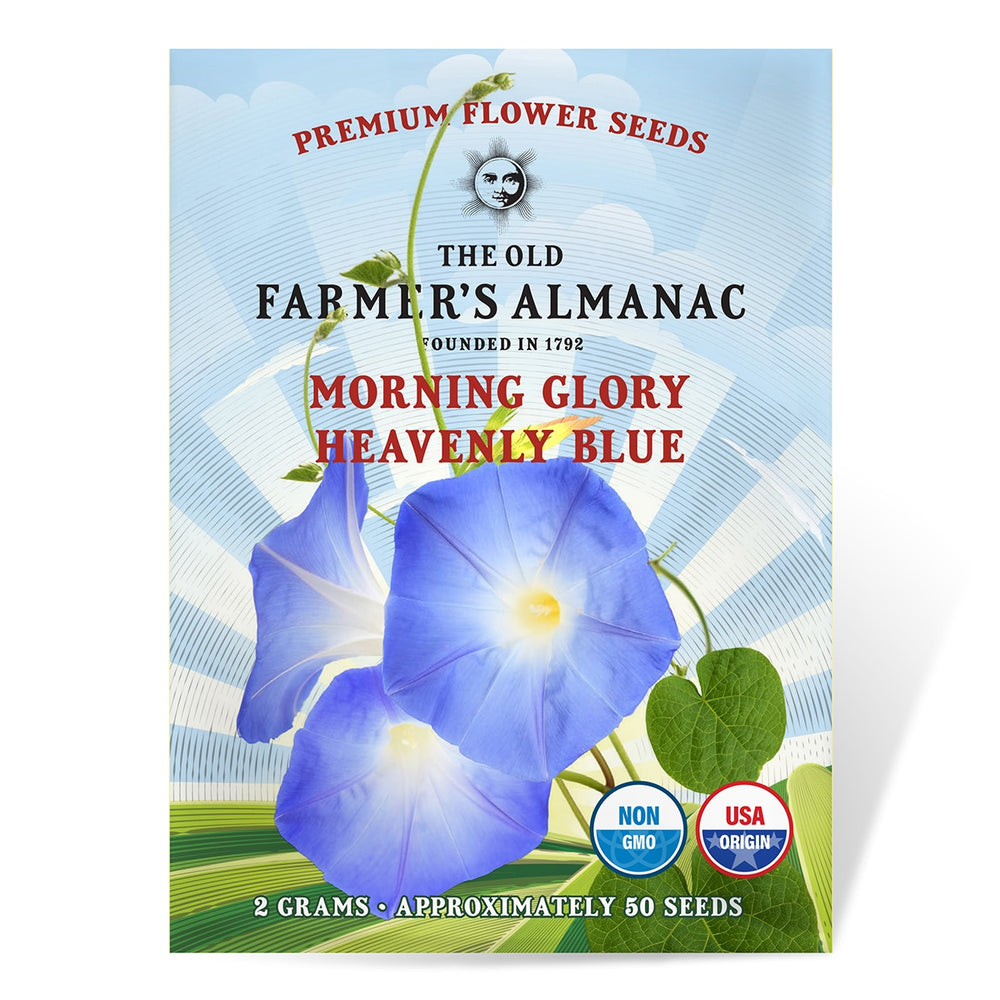 The Old Farmer's Almanac Premium Morning Glory Seeds (Heavenly Blue) - Approx 50 Flower Seeds Per Pack