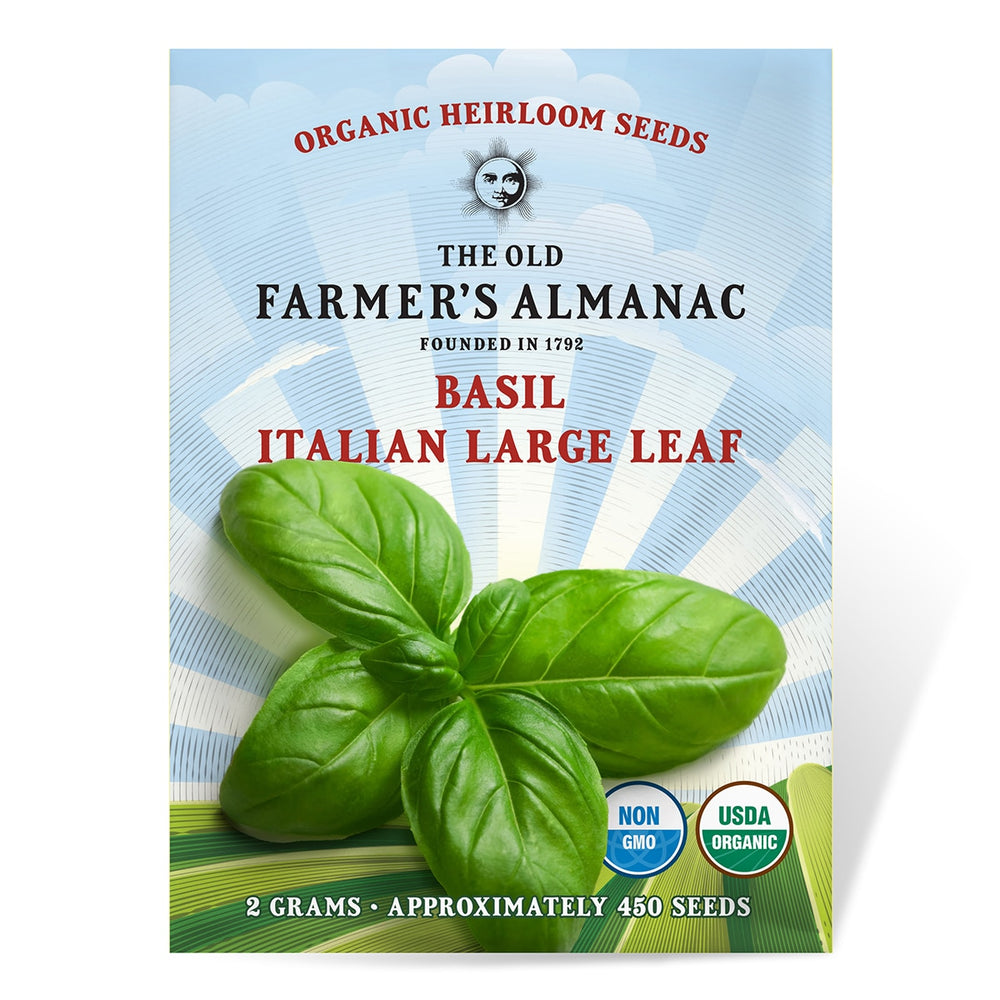 The Old Farmer's Almanac Organic Heirloom Basil Seeds (Italian Large Leaf) - Approx 450 Seeds