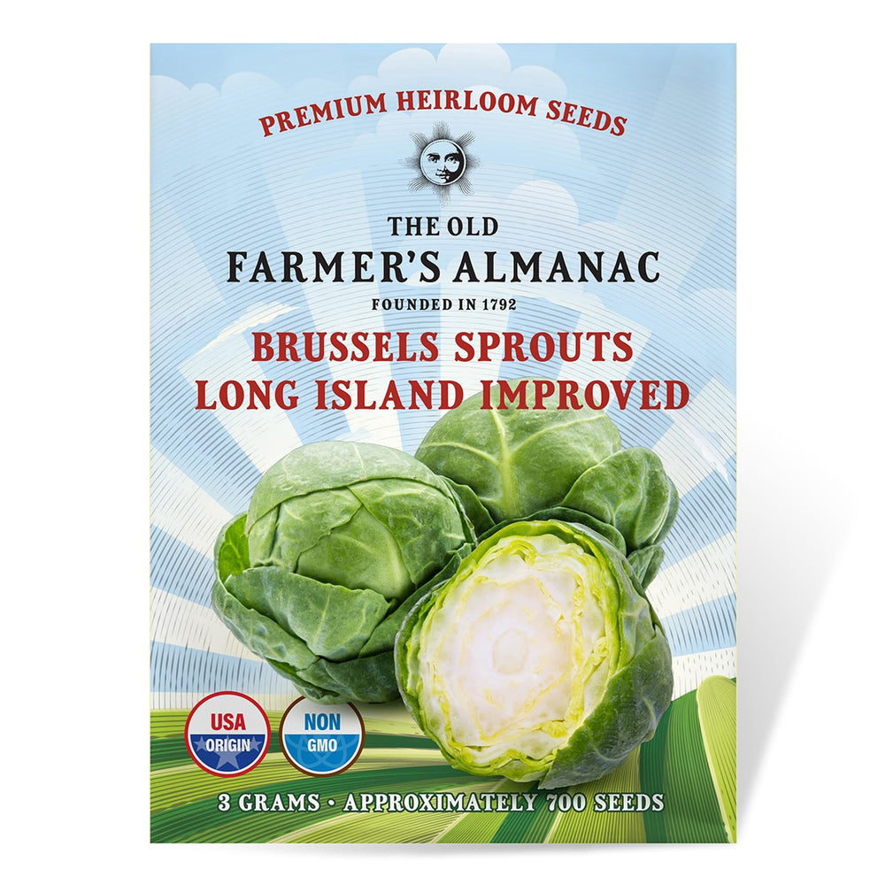 The Old Farmer's Almanac Brussels Sprouts Seeds (Long Island Improved)