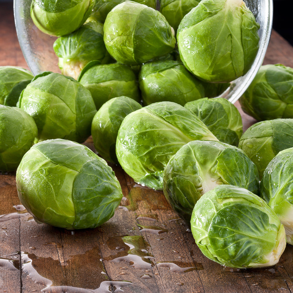 The Old Farmer's Almanac Brussels Sprouts Seeds (Long Island Improved)
