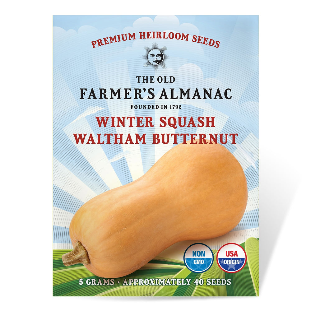 
                
                    Load image into Gallery viewer, The Old Farmer&amp;#39;s Almanac Winter Squash Seeds (Waltham Butternut) - Approx 40 Seeds
                
            