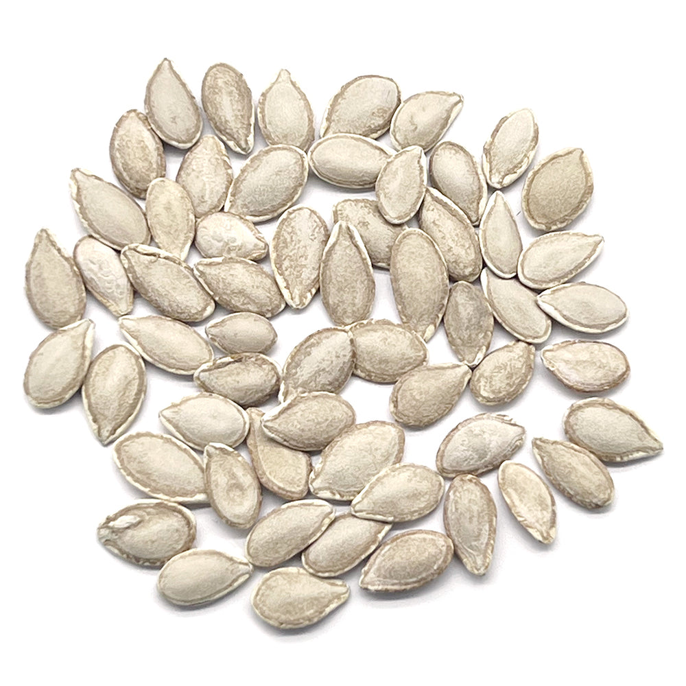 
                
                    Load image into Gallery viewer, The Old Farmer&amp;#39;s Almanac Winter Squash Seeds (Waltham Butternut) - Approx 40 Seeds
                
            