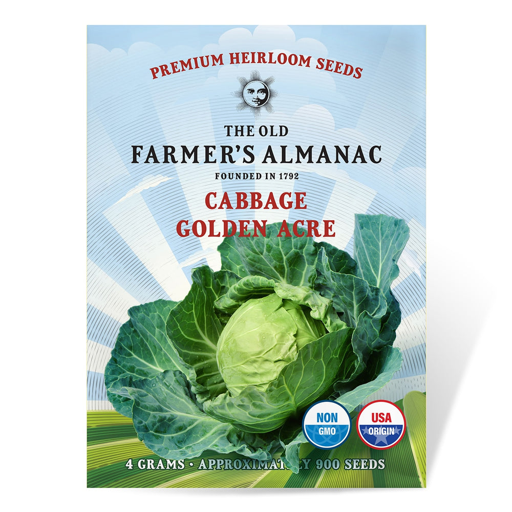 
                
                    Load image into Gallery viewer, The Old Farmer&amp;#39;s Almanac Heirloom Cabbage Seeds (Golden Acre) - Approx 900 Seeds
                
            