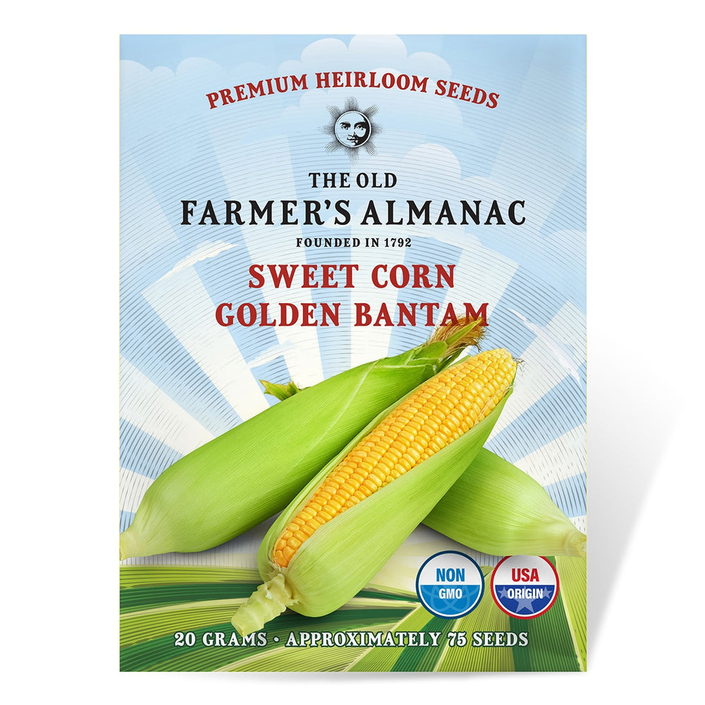 The Old Farmer's Almanac Heirloom Sweet Corn Seeds (Golden Bantam) - Approx 75 Seeds