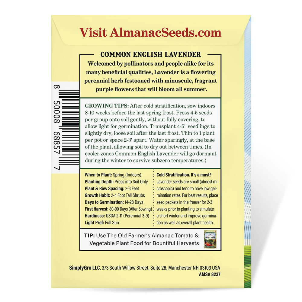 The Old Farmer's Almanac Heirloom Lavender Seeds (Common English) - Approx 360 Seeds