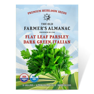 The Old Farmer's Almanac Heirloom Parsley Seeds (Dark Green Italian Flat Leaf) - Approx 1500 Seeds
