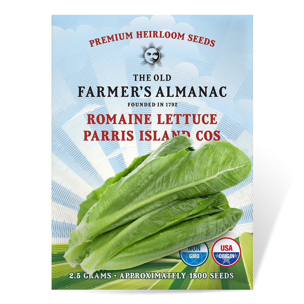 The Old Farmer's Almanac Heirloom Paris Island Cos Romaine Lettuce Seeds - Premium Non-GMO, Open Pollinated, USA Origin, Vegetable Seeds