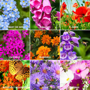 
                
                    Load image into Gallery viewer, The Old Farmer&amp;#39;s Almanac Premium Pollinator Mix Wildflower Seeds - Includes 23 Varieties
                
            